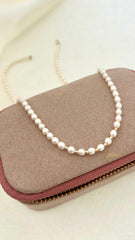 Collar Cleo