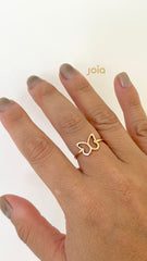 Anillo Renacer