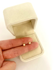 Aretes Flor
