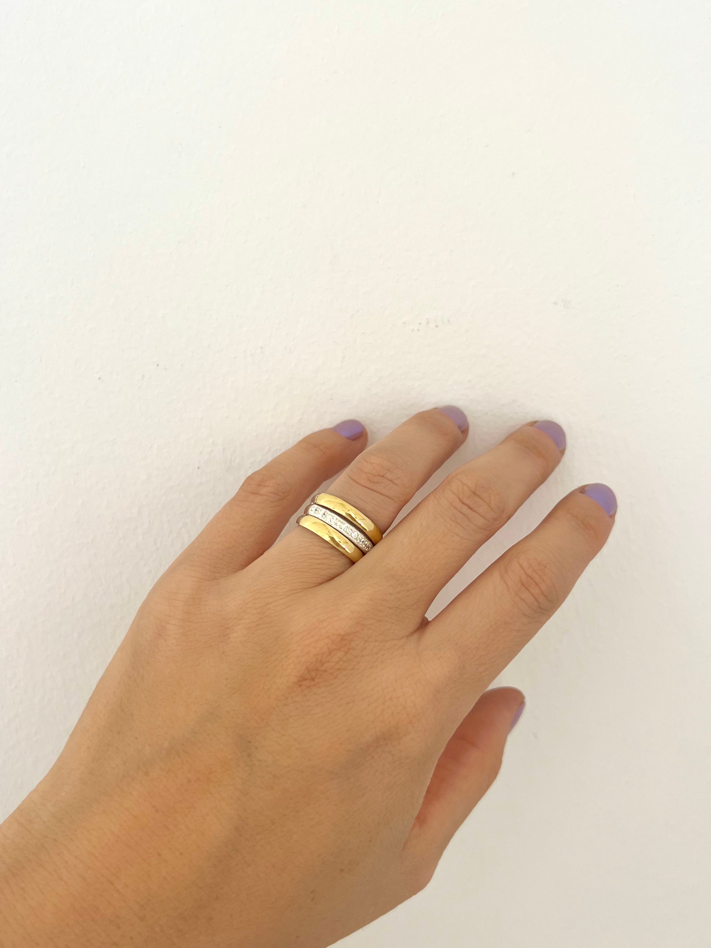 Anillo Tori